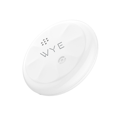 WYE Tech - B2B
